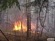 Лесные пожары: причины возникновения, способы предотвращения и меры борьбы